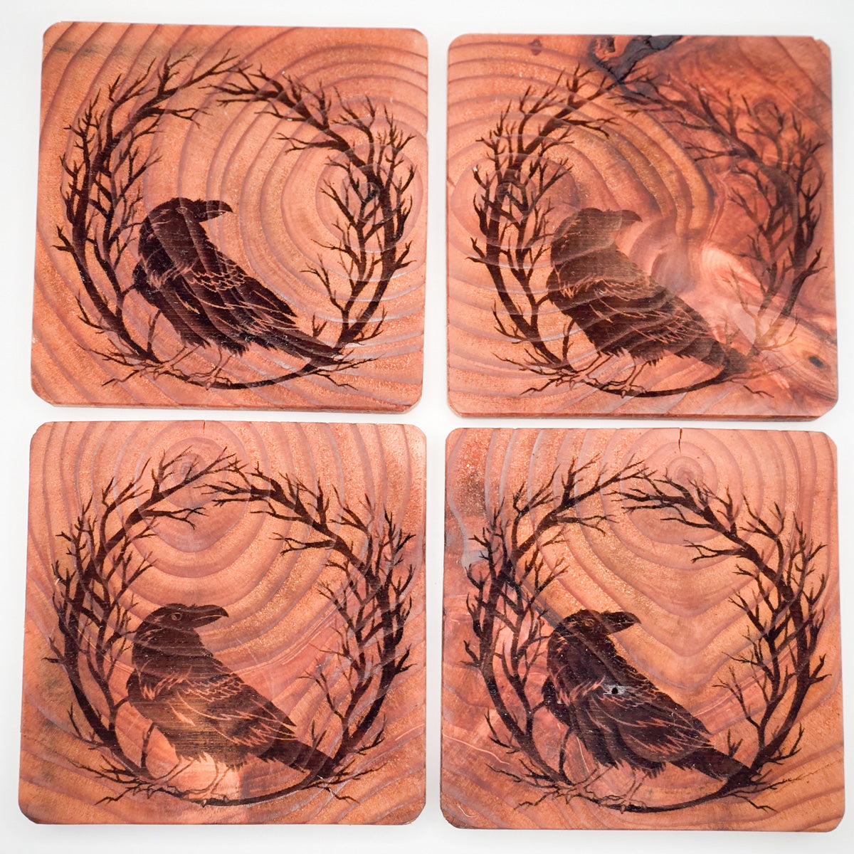 Set of four Redwood Coasters with crow on branch design, viewed from above.